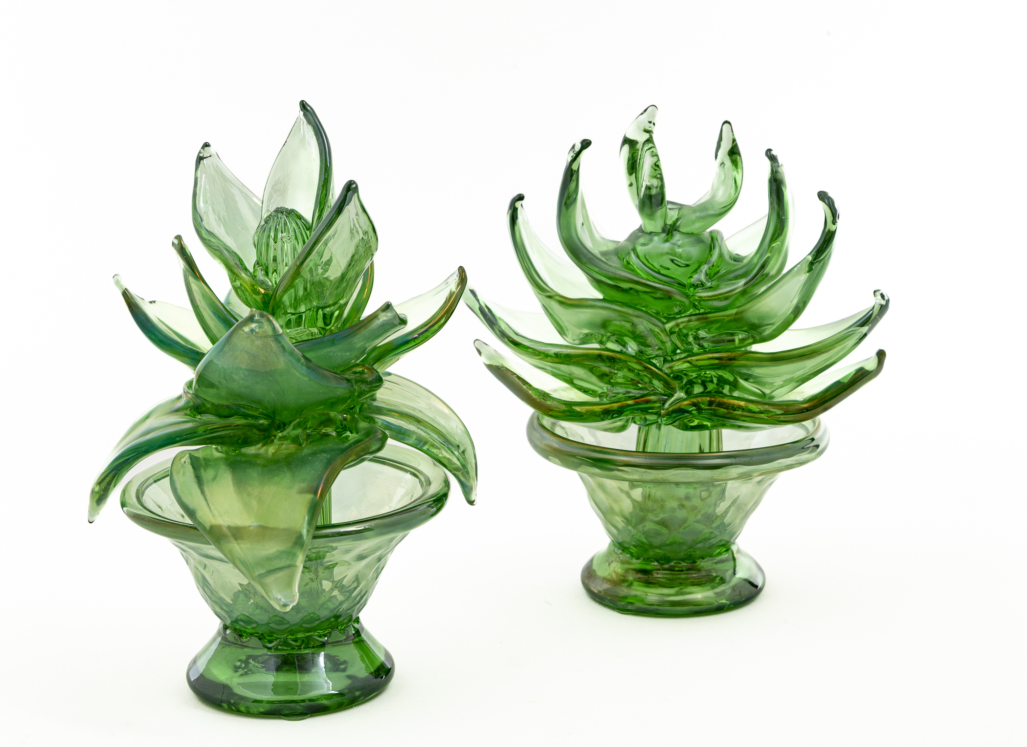 A Set Of 2 Murano 'Pianta Grassa' Sculptures, Contemporary