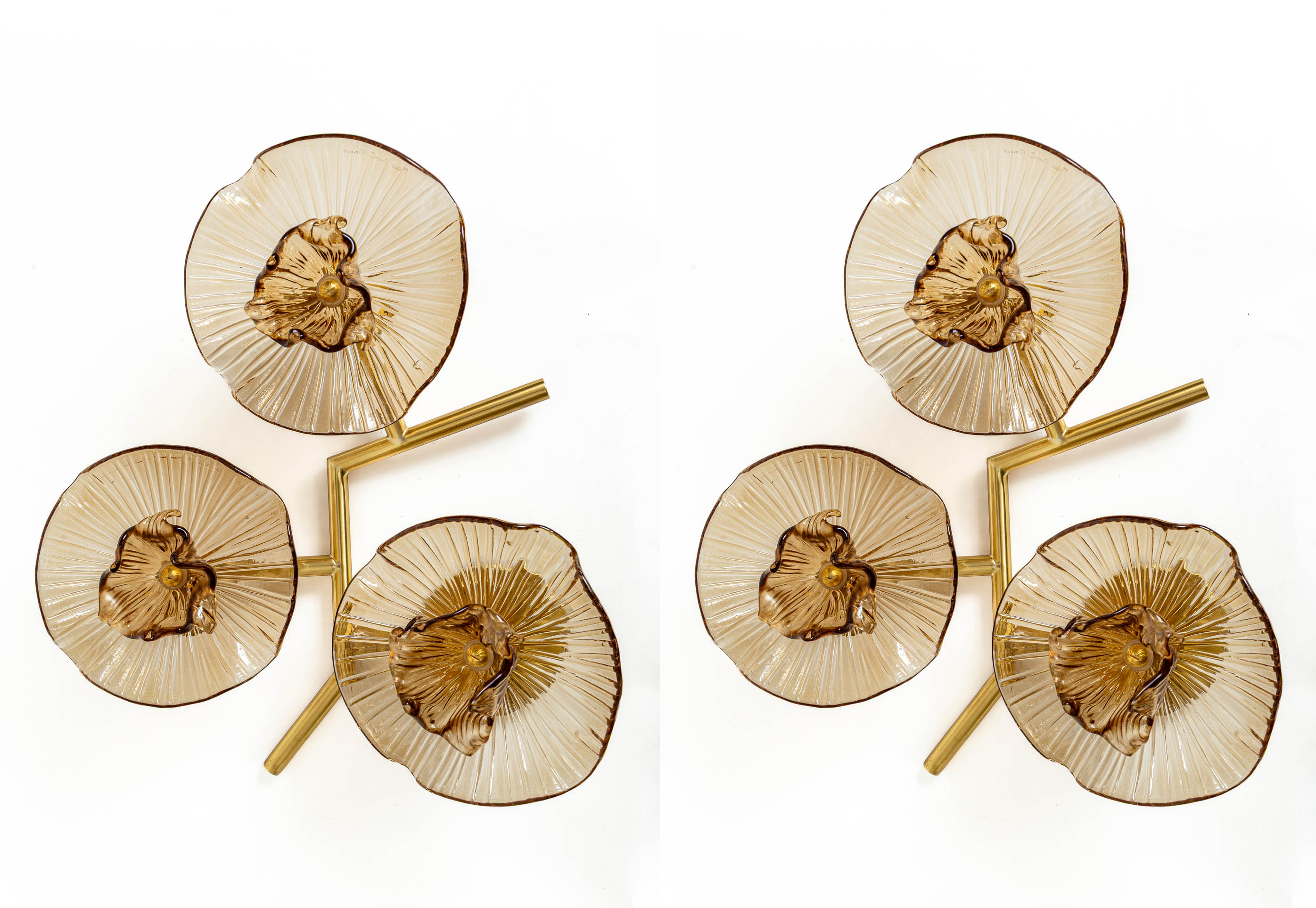 Pair Of Organic Modern Murano Floral Wall Lights, Contemporary